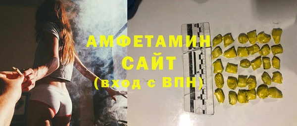 PSILOCYBIN Алзамай