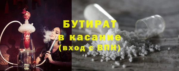 PSILOCYBIN Алзамай