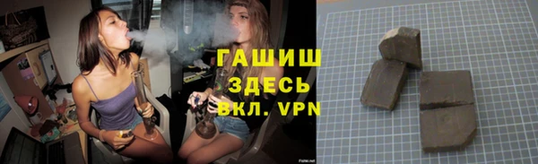 PSILOCYBIN Алзамай