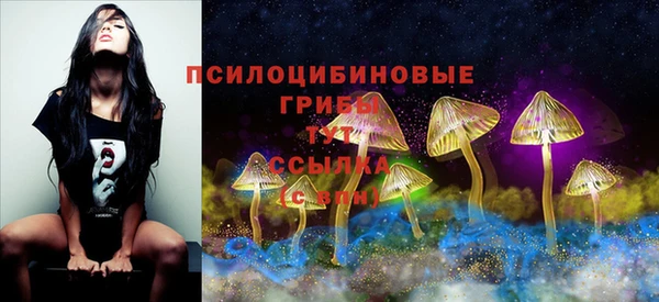 apvp Алексин