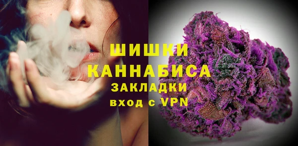 PSILOCYBIN Алзамай