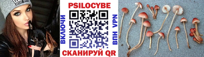 сколько стоит  Сим  Псилоцибиновые грибы Magic Shrooms 