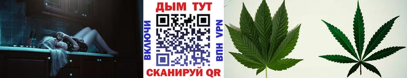 omg tor  Сим  Шишки марихуана планчик 